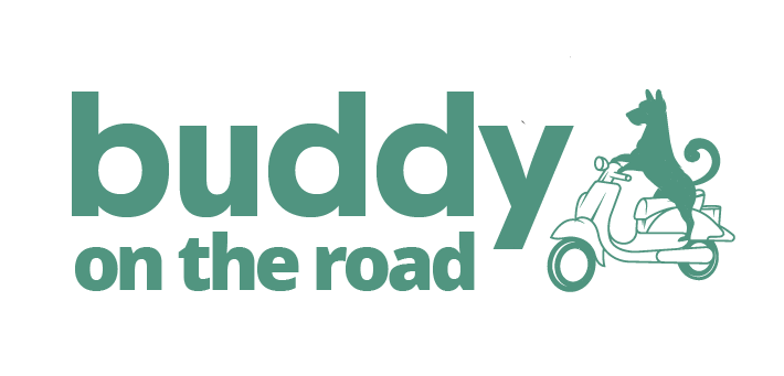 buddy on the road